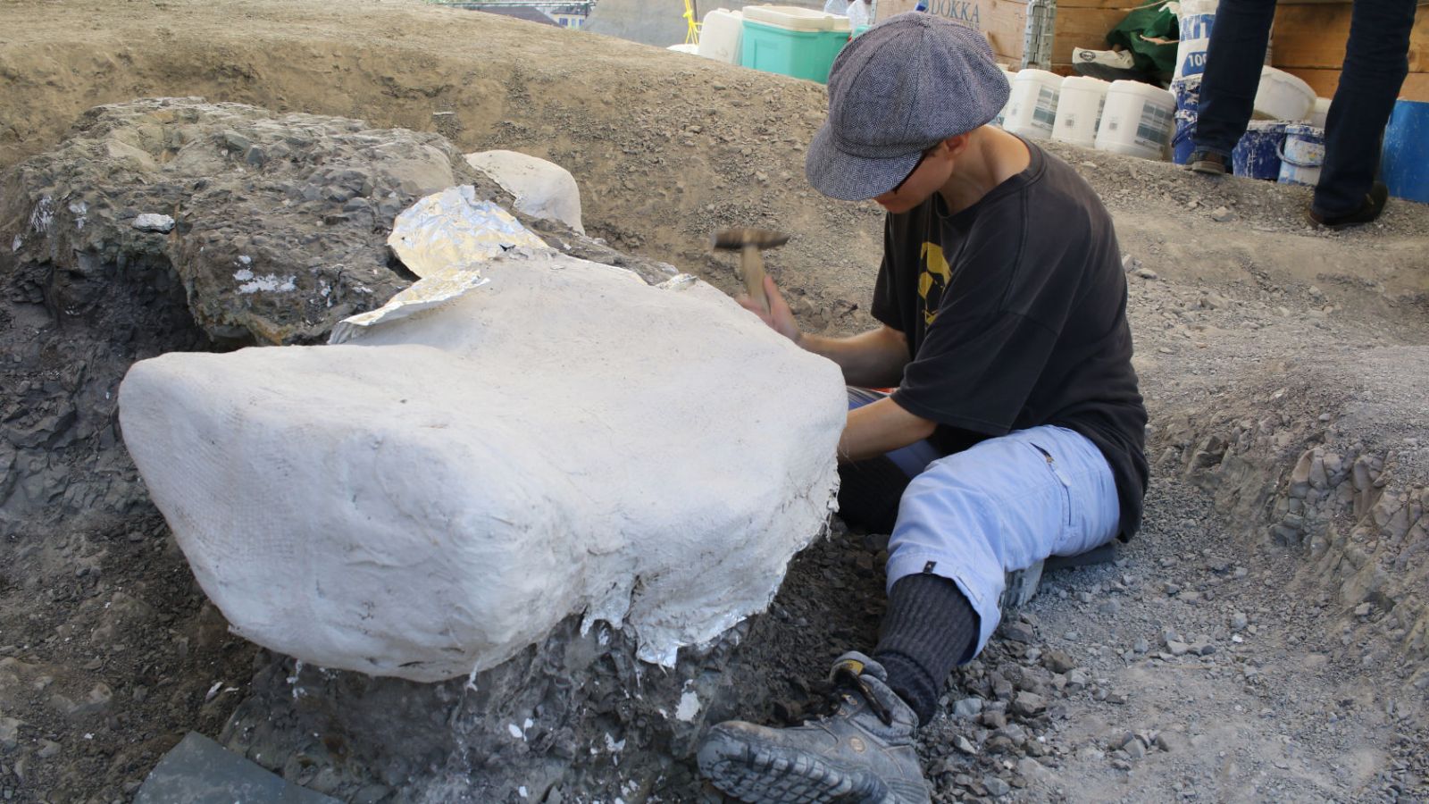 Ursina Bachmann of the Dinosaur Museum Frick removes part of the Plateosaurus skeleton, covered in protective burlap, from the ground at the excavation site in Frick, Canton Aargau. (Picture: Dennis Hansen)